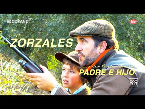 ZORZALES PADRE E HIJO. Entrañable documental de la caza del zorzal en puesto fijo.
