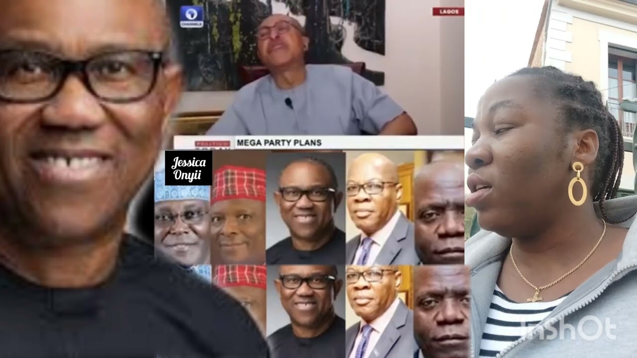 the new mega party will change the face of Nigeria,ATIKU_Peter obi_kwankwaso & many more_(pro utomi)