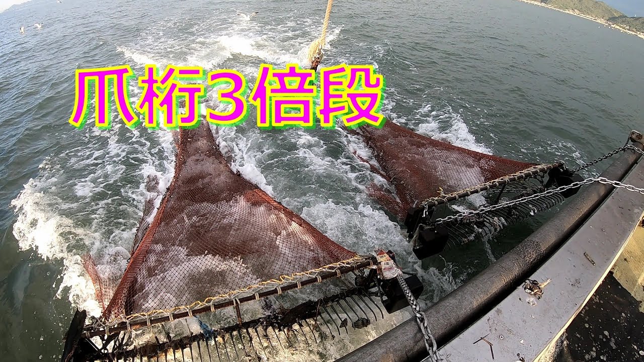 寄島のワタリガニ漁　11月爪桁編　脱サラして漁師になって、爪桁に挑戦してみたi became fishman and went to catch crabs