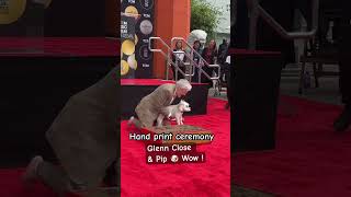 Glenn Close was #actress Honored 5/1/26 at #hollywood  TCL Chinese Theater next 2 Pip her #dog #fyp