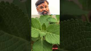 anti aging food #food #ytshorts #tips