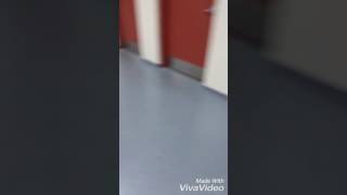 Hca #mannequinchallenge