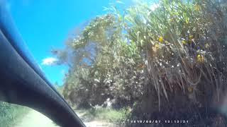 2018 0807 131237 Loja3