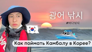 Морская рыбалка в Корее. 루키나호, 인천 대광어낚시. 바다 낚시 / Fishing in Korea