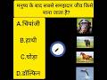 GK Questions Class 30 । कौन सबसे अक्लमंद #gk #ssc #shorts #facts