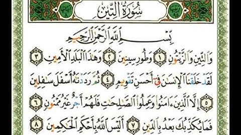 95 -  سورة التين  💚 الشيخ ناصر القطامي