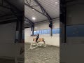Ridingcamp😍 #horse #lemieuxtoypony #riding