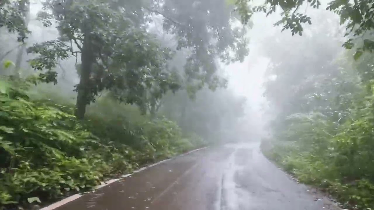 POV: Sometimes, Silence Says Everything... 🌫️ 