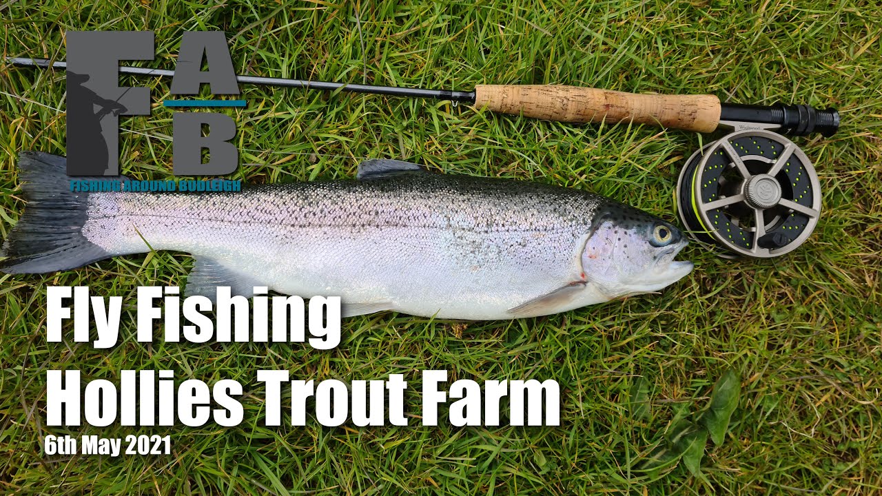 Fly Fishing Hollies Trout Farm 6th May 2021 YouTube