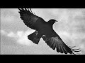 Chapter 28 - Sansa 3 - A Storm of Swords | A Song of Ice and Fire (ASOIAF)