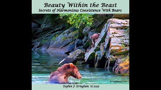 Secrets of Living in Harmony With Bears
