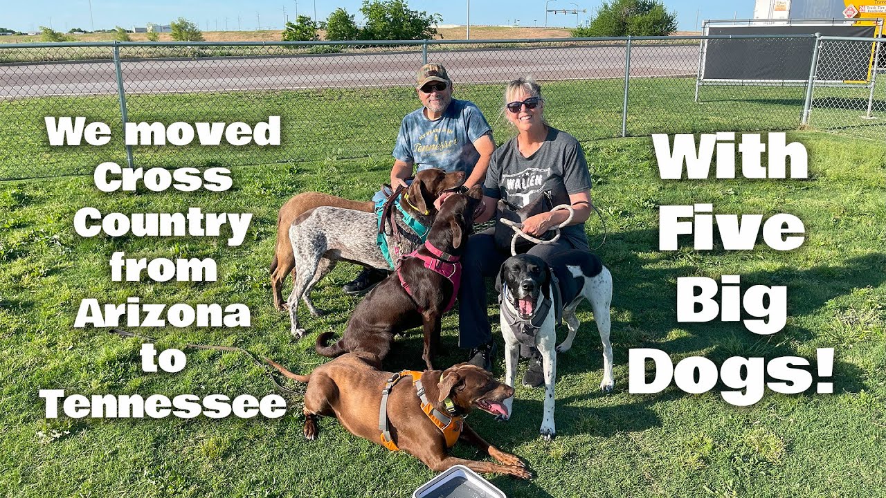 Cross country move with 5 dogs! Welcome to Tennessee Time