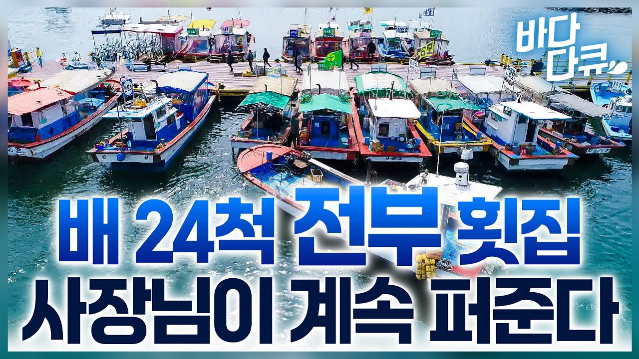 배 많으니까 골라타 회 떠줄게~ 새벽에 잡아온 횟감 막 퍼주는 한국의 선상 포구 횟집 / 삼길포항 / #바다다큐