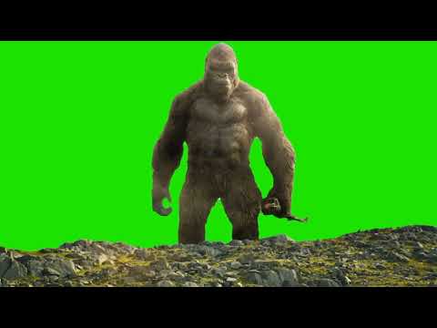 KINGKONG GREEN SCREEN ( Free Download )