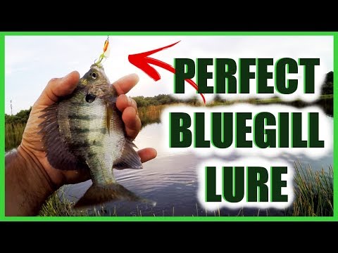 Lure Good For Catching Panfish Bream, The Best Lure For Catching