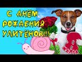 С 8 Марта ДЕВУШКИ!! С ДНЁМ РОЖДЕНИЯ Улитёнок.