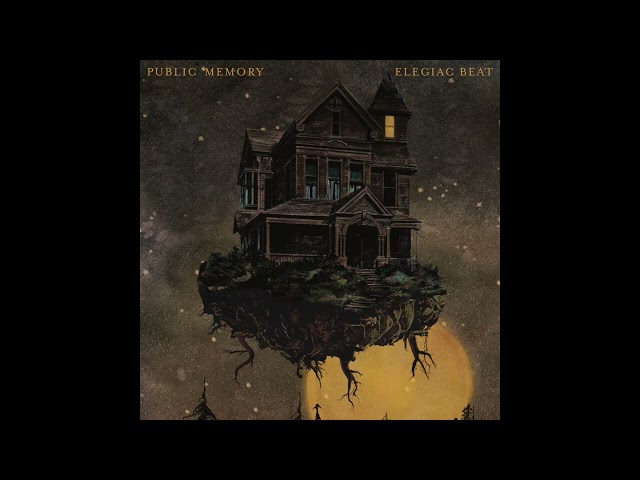 Public Memory - Savage Grin