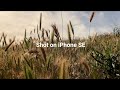 iPhone SE (2020) Cinematic 4k - SANDMARC Anamorphic