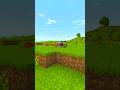 Cecchino su Minecraft!