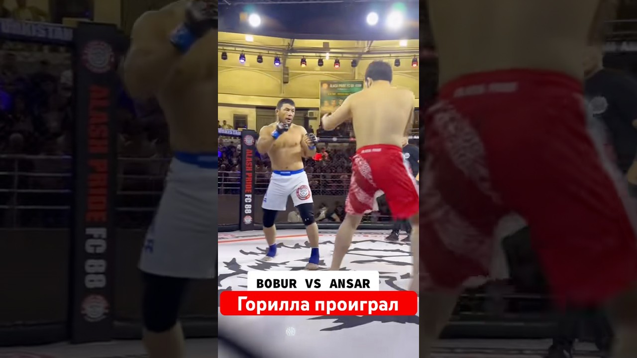 Горила проиграл 