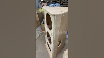 Dual 15" Floor-standing speaker#proaudio #speaker #audio #raidongaudio #raidong