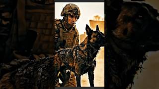 The Animals Loyal From Human