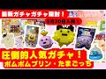 5月#8 【ガチャガチャ】今どきのガチャガチャ、大人がガチで破産するレベル！情報合戦に勝ち抜いた超新作をゲット！たまごっち/サンリオ/カプセルトイ/ガチャ沼/capsuletoyほか