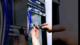 Patch panel cat6 network wires for data and NVR Security Cameras