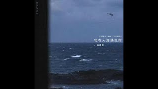 苏谭谭   我在人海遇见你