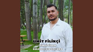 Şimdi Siyah Bulamazsın Saçımda