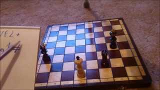 Jak hrát šachy 6 - král, šach, šachmat
