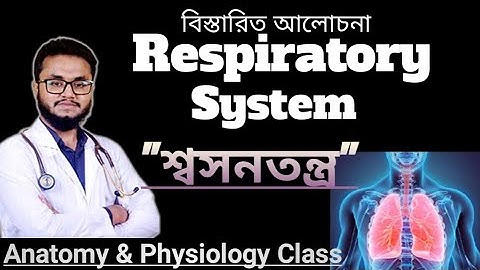 Respiratory System | শ্বসনতন্ত্র | Anatomy & Physiology | Easy Medical Class