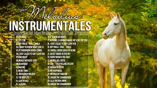 The 20 Most Romantic Instrumental Melodies  Golden Instrumental Music Of Remembrance