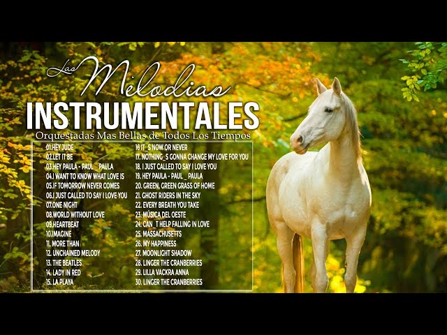 The 20 Most Romantic Instrumental Melodies - Golden Instrumental Music Of Remembrance class=