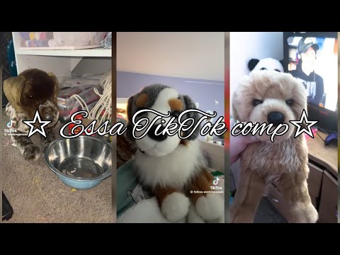 Essa TikTok comp (all credits go to original owners)
