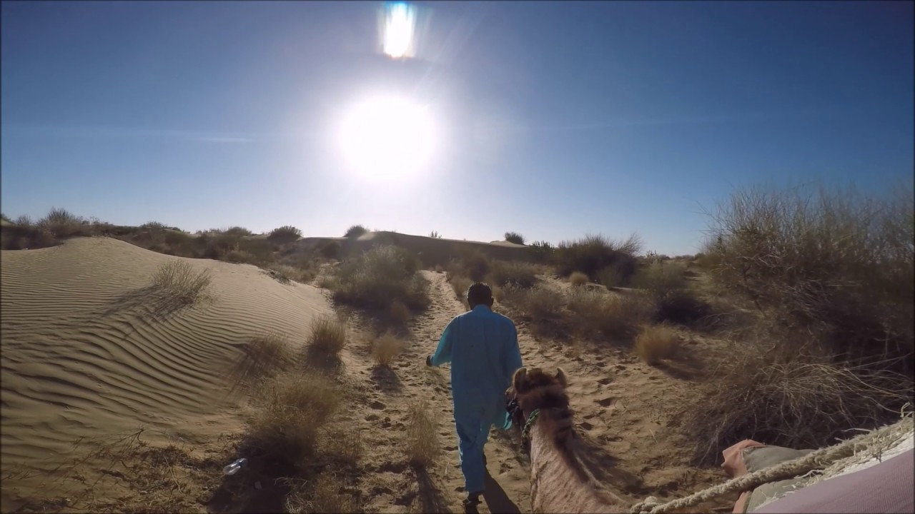 Camel Safari in the Thar Desert - Rajhastan - Inde 2017