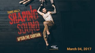 Travis Wall’s SHAPING SOUND: After the Curtain Net Worth