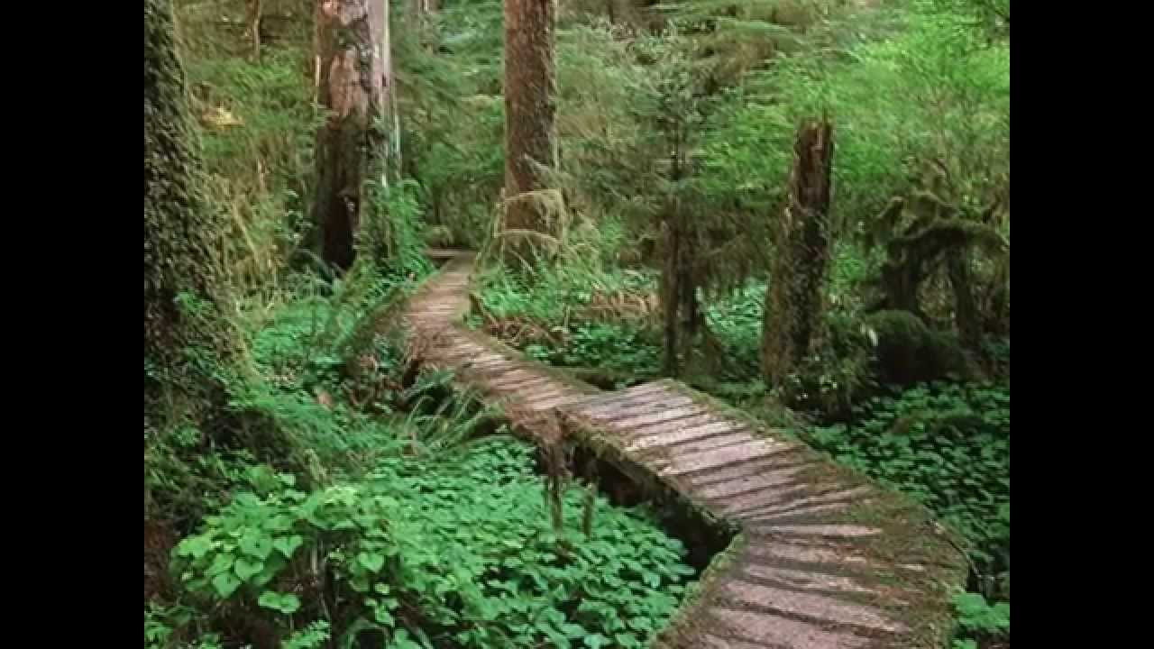 the most rainy place in the world , Choco Colombia YouTube