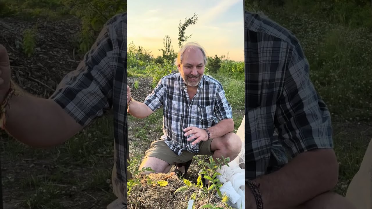 Quand et comment arroser (prise 2)