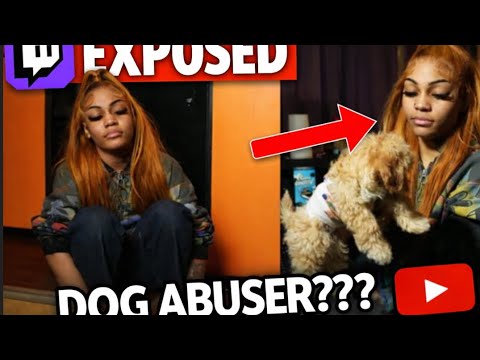 Twitch Streamer Caught Beating Her Dog Live On Stream…. - YouTube