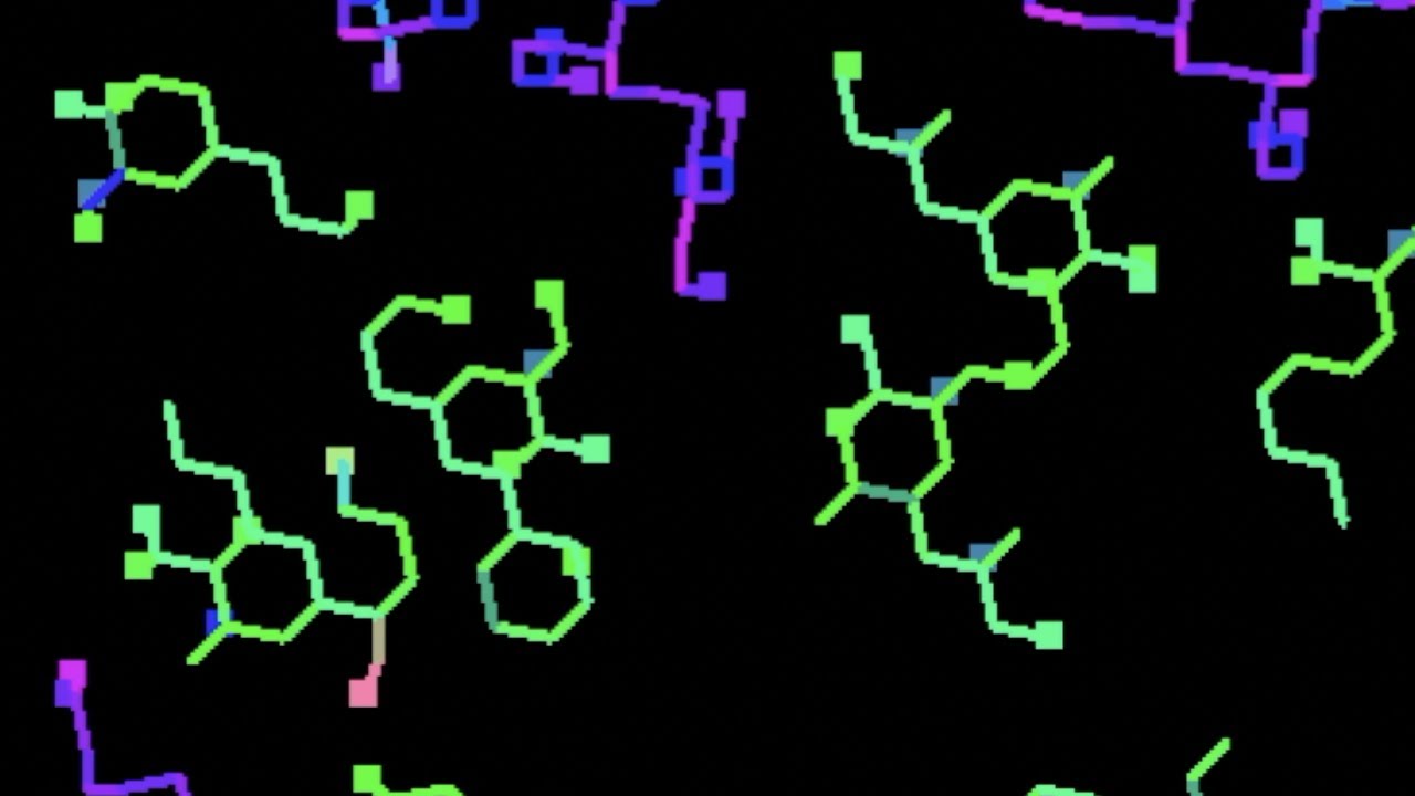 SproutLife - Long Run 2