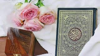 Surah Rehman Medium Fast Recitation Hafiz Tahir Qadri