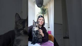 Czy moja kotka woli mnie czy swoją ulubioną zabawkę?