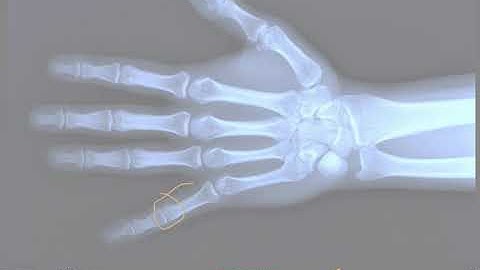 VoiceThread Lectures