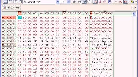 ViewingFormatHexEditDemo.avi