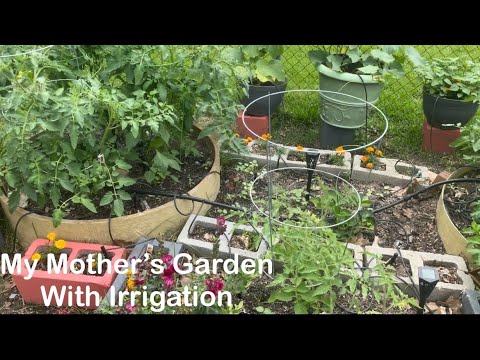 Early Mother’s Day Gift 🎁|No more hand watering for my moms💯