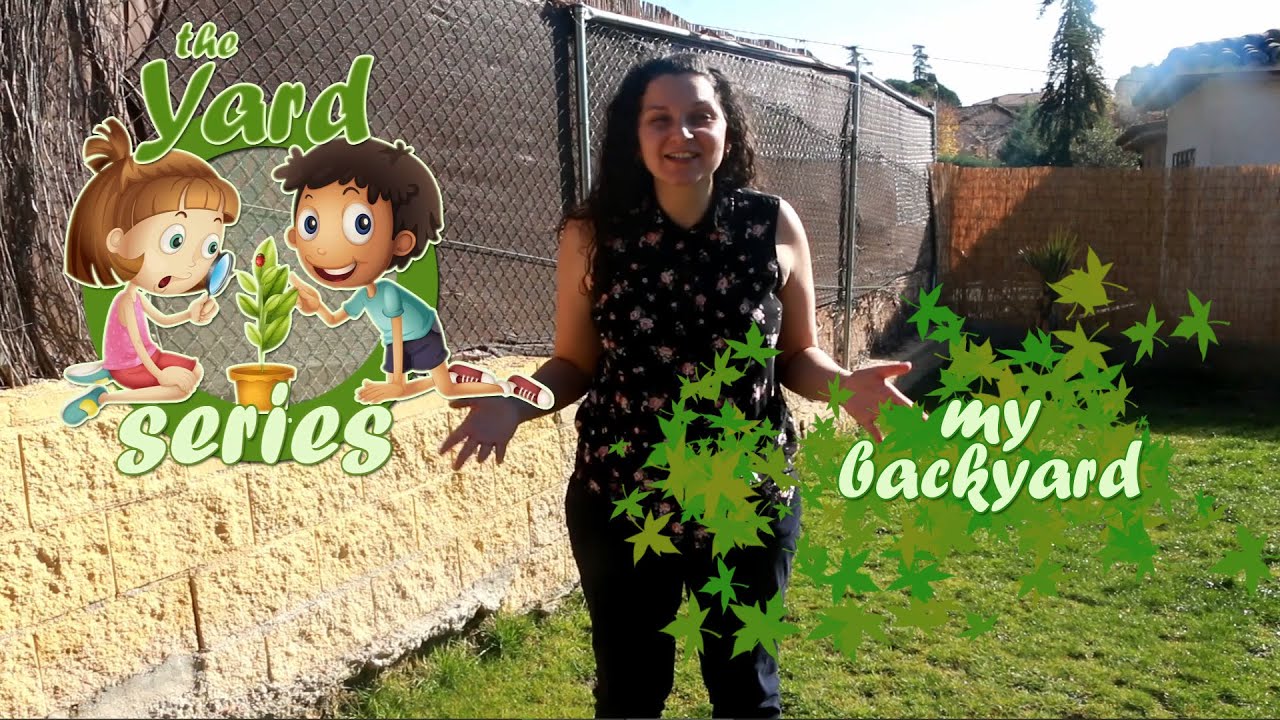 This Is MY YARD! Let's Learn New Words, Practice THIS IS and Describe