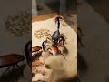 Scorpion vs Roach — Sudden Turn Into Strike. #ScorpionVsRoach #TerrariumBattle #usa