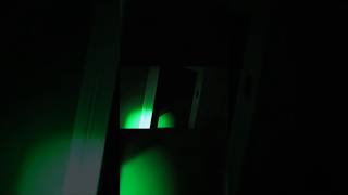 Unexplained Black Flies Swarm the Demon House  #horror #fyp #shorts