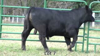 Lot 7 SVS 2012